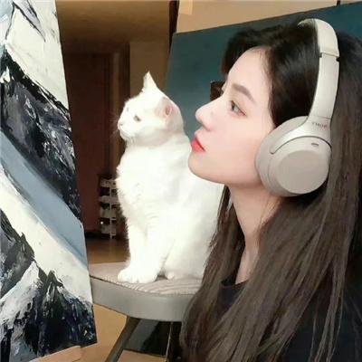 我的女友比我帅